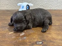 processed/51929e79-a407-464c-9f23-3ae6173c80a6/listing/f3e0f3fa-4169-4f75-a04d-e3eab2dd8fe8/86fd4616-c111-4a52-a04b-2baa0ba9926c