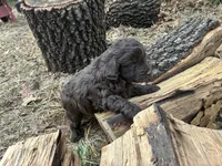 processed/51929e79-a407-464c-9f23-3ae6173c80a6/listing/f3e0f3fa-4169-4f75-a04d-e3eab2dd8fe8/9867cc87-ba35-4fca-a458-11d6e7427503