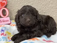 processed/51929e79-a407-464c-9f23-3ae6173c80a6/listing/f3e0f3fa-4169-4f75-a04d-e3eab2dd8fe8/a47f82ef-1119-4e5e-bd2c-8d087640e9d3