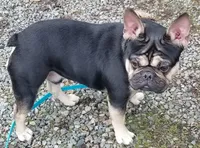 processed/51942f7c-4ed6-4349-bd59-8d7a8607db0d/facility/2f37c598-76db-48d0-8c29-5da92308bdda