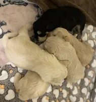 processed/51942f7c-4ed6-4349-bd59-8d7a8607db0d/facility/9d02fa09-6397-4850-aa1d-d635a47b91c3