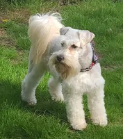 processed/51942f7c-4ed6-4349-bd59-8d7a8607db0d/facility/bb7274af-0bbd-497f-ab67-5f8b7a53bb35