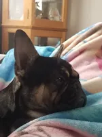 processed/51942f7c-4ed6-4349-bd59-8d7a8607db0d/facility/c0efe95e-ee05-47ca-a630-3b44553e97e9