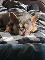 processed/51942f7c-4ed6-4349-bd59-8d7a8607db0d/facility/cb0f0b43-5eaa-4d77-9cb3-5d1e16d249a0