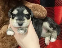 processed/51942f7c-4ed6-4349-bd59-8d7a8607db0d/facility/f9f8ee36-703b-4823-8293-540d1c033f21