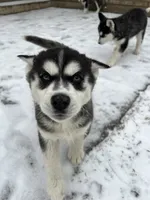 processed/5195a852-af31-4bd5-a9ab-21ea620f0721/listing/13699205-8814-4f2f-8504-4bcf034eeabd/349b8226-985c-41a7-910b-3c737764454f