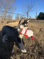 processed/5195a852-af31-4bd5-a9ab-21ea620f0721/listing/13699205-8814-4f2f-8504-4bcf034eeabd/4622bd09-f5b6-40eb-9684-64c4f707dad7