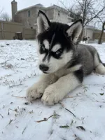 processed/5195a852-af31-4bd5-a9ab-21ea620f0721/listing/13699205-8814-4f2f-8504-4bcf034eeabd/47404ccf-1880-460d-9f6c-c8c3fd9ad24a