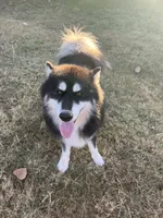 processed/5195a852-af31-4bd5-a9ab-21ea620f0721/listing/13699205-8814-4f2f-8504-4bcf034eeabd/541f3c60-cbf3-4f0a-8f86-ad4f3ba5e856