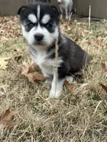 processed/5195a852-af31-4bd5-a9ab-21ea620f0721/listing/13699205-8814-4f2f-8504-4bcf034eeabd/71ddc188-204f-463f-a49f-8b44b504d905