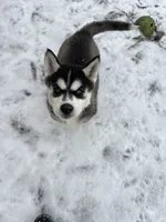 processed/5195a852-af31-4bd5-a9ab-21ea620f0721/listing/13699205-8814-4f2f-8504-4bcf034eeabd/9b3e1570-388d-4de0-acdb-0edfe8f585c2