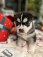 processed/5195a852-af31-4bd5-a9ab-21ea620f0721/listing/13699205-8814-4f2f-8504-4bcf034eeabd/b2e9307c-c57f-434f-8247-25302bbd1575