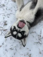 processed/5195a852-af31-4bd5-a9ab-21ea620f0721/listing/13699205-8814-4f2f-8504-4bcf034eeabd/e3873d96-344f-4dae-978d-a7a96e2f49af