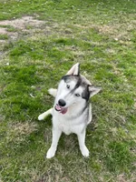 processed/5195a852-af31-4bd5-a9ab-21ea620f0721/listing/e5a92c90-2178-487b-ac37-ed89b4ab81e0/4ab1587d-3cf6-4576-9187-ef4580fdb489