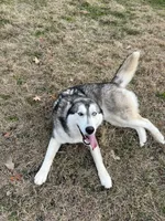 processed/5195a852-af31-4bd5-a9ab-21ea620f0721/listing/e5a92c90-2178-487b-ac37-ed89b4ab81e0/557748ef-46fc-45b9-81c8-709cf4b47cd8