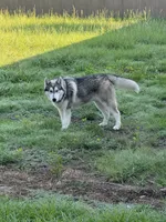 processed/5195a852-af31-4bd5-a9ab-21ea620f0721/listing/e5a92c90-2178-487b-ac37-ed89b4ab81e0/806791e2-6570-41b5-9c5c-caf45c50f358