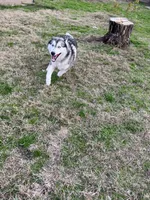 processed/5195a852-af31-4bd5-a9ab-21ea620f0721/listing/e5a92c90-2178-487b-ac37-ed89b4ab81e0/9e253334-3ba6-4a13-984d-9019dd2e80db