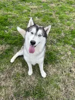 processed/5195a852-af31-4bd5-a9ab-21ea620f0721/listing/e5a92c90-2178-487b-ac37-ed89b4ab81e0/fae4223c-2d32-446e-af43-da2b8151b17a