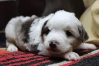 processed/51a5cc0b-0df2-4d02-9e70-d4f53a4fba76/listing/5991dee0-16c9-43a6-a512-2d9a6b638d7a/ecb0b02d-025d-4329-8ac7-36fe5a8ec6fa