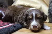 processed/51a5cc0b-0df2-4d02-9e70-d4f53a4fba76/listing/5f00c28c-55c3-4de8-b34e-f9b941681e4a/21f96874-7f7c-415d-b564-15427cd9f611