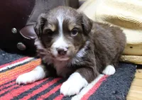 processed/51a5cc0b-0df2-4d02-9e70-d4f53a4fba76/listing/5f00c28c-55c3-4de8-b34e-f9b941681e4a/aa395d9a-0acd-4cc2-b07c-ed800f8a43b9