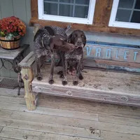 processed/51ab7fd0-8e79-4756-9e66-51be6c1ff000/facility/41a52094-9004-436b-bce1-7baf2ee92aab