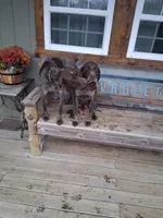 processed/51ab7fd0-8e79-4756-9e66-51be6c1ff000/facility/41a52094-9004-436b-bce1-7baf2ee92aab