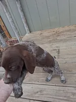 processed/51ab7fd0-8e79-4756-9e66-51be6c1ff000/listing/4b21e8a0-50fb-410b-b6a5-3739467f0dac/0905acd8-dc43-44f2-a230-f8d4958aa45b