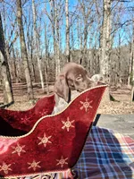 processed/51ab7fd0-8e79-4756-9e66-51be6c1ff000/listing/4b21e8a0-50fb-410b-b6a5-3739467f0dac/62f4a3c3-8f53-49a2-858b-87e2342773de