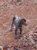 processed/51ab7fd0-8e79-4756-9e66-51be6c1ff000/listing/4b21e8a0-50fb-410b-b6a5-3739467f0dac/94b7726d-8db9-470b-930f-ef9129b9458b