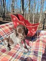 processed/51ab7fd0-8e79-4756-9e66-51be6c1ff000/listing/4b21e8a0-50fb-410b-b6a5-3739467f0dac/cd2c5ec4-d178-4c52-b7b3-810d4e59f811