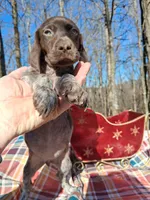 processed/51ab7fd0-8e79-4756-9e66-51be6c1ff000/listing/4b21e8a0-50fb-410b-b6a5-3739467f0dac/ef81d0aa-d912-4878-a484-ac8624307aba