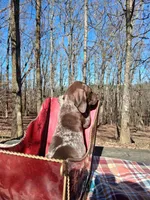 processed/51ab7fd0-8e79-4756-9e66-51be6c1ff000/listing/da3c96b8-0ee4-4ebc-bc51-9930388d83b3/0103fa0a-b2d2-4ddf-b51e-3938f3c79c80