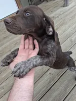 processed/51ab7fd0-8e79-4756-9e66-51be6c1ff000/listing/da3c96b8-0ee4-4ebc-bc51-9930388d83b3/472528da-83e7-454f-8f76-1f6358b1d360