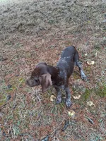 processed/51ab7fd0-8e79-4756-9e66-51be6c1ff000/listing/da3c96b8-0ee4-4ebc-bc51-9930388d83b3/66534cab-95e8-4e24-94a5-4808ad241b63