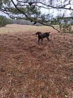 processed/51ab7fd0-8e79-4756-9e66-51be6c1ff000/listing/da3c96b8-0ee4-4ebc-bc51-9930388d83b3/79862d9e-8344-4fd1-b632-8a7f16796448