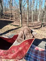 processed/51ab7fd0-8e79-4756-9e66-51be6c1ff000/listing/da3c96b8-0ee4-4ebc-bc51-9930388d83b3/853444ab-ea16-46cc-b629-2ce31cff872f