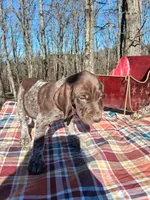 processed/51ab7fd0-8e79-4756-9e66-51be6c1ff000/listing/da3c96b8-0ee4-4ebc-bc51-9930388d83b3/9aa9008d-0703-4418-9f7c-f2d50a382d8f