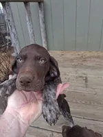 processed/51ab7fd0-8e79-4756-9e66-51be6c1ff000/listing/da3c96b8-0ee4-4ebc-bc51-9930388d83b3/d6559ec5-a89c-4ce0-9c5e-2abb8d96e683