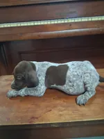 Male 1, a male German Shorthaired Pointer for sale in Moulton, AL – Photo 2 of 3