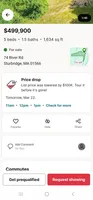 Chopper , a male Pomeranian for sale in Springfield, MA – 2 of 10