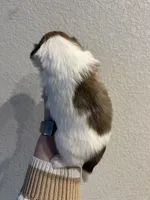 processed/51c14b18-f8f0-4e4b-bede-7bf4e1574009/listing/0756ceae-763a-4e04-859b-fa8ed17e7233/8d4c1901-e494-4f24-b425-79f85e8da004