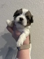 processed/51c14b18-f8f0-4e4b-bede-7bf4e1574009/listing/0b4d5e32-ad35-4200-a96a-2a84a2135ee0/3d3fc5c2-3c7d-4d67-b720-9cf4d3c02b35