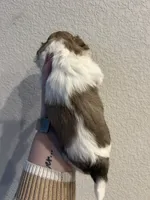 processed/51c14b18-f8f0-4e4b-bede-7bf4e1574009/listing/0b4d5e32-ad35-4200-a96a-2a84a2135ee0/9862b40a-5ae2-4d61-ab65-684ffb51f372