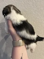 processed/51c14b18-f8f0-4e4b-bede-7bf4e1574009/listing/a7f52dbe-3276-4bad-826e-4bd0163fb541/dee3d493-dcf5-4c35-aa92-eec3f55dd2a9