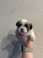 processed/51c14b18-f8f0-4e4b-bede-7bf4e1574009/listing/caa841b0-05f4-4dab-8caf-0b62e2d41985/0968870b-8d3c-4635-9b84-0c1f41a3c158