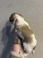 processed/51c14b18-f8f0-4e4b-bede-7bf4e1574009/listing/caa841b0-05f4-4dab-8caf-0b62e2d41985/e682612d-7746-4531-a8cd-70ad563df8c2