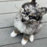 processed/51d120c9-4c35-481d-8836-7441d84db7cb/facility/09cbd423-4c5f-4678-99da-2ffab232d76b