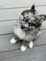 processed/51d120c9-4c35-481d-8836-7441d84db7cb/facility/09cbd423-4c5f-4678-99da-2ffab232d76b