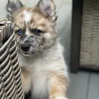 processed/51d120c9-4c35-481d-8836-7441d84db7cb/facility/0ce72a7d-6b05-49fa-8651-b635fbd5b468